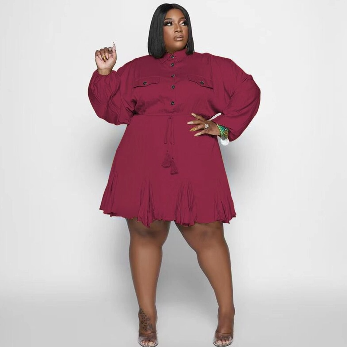 Plus Size Swing Flared Mini Dress