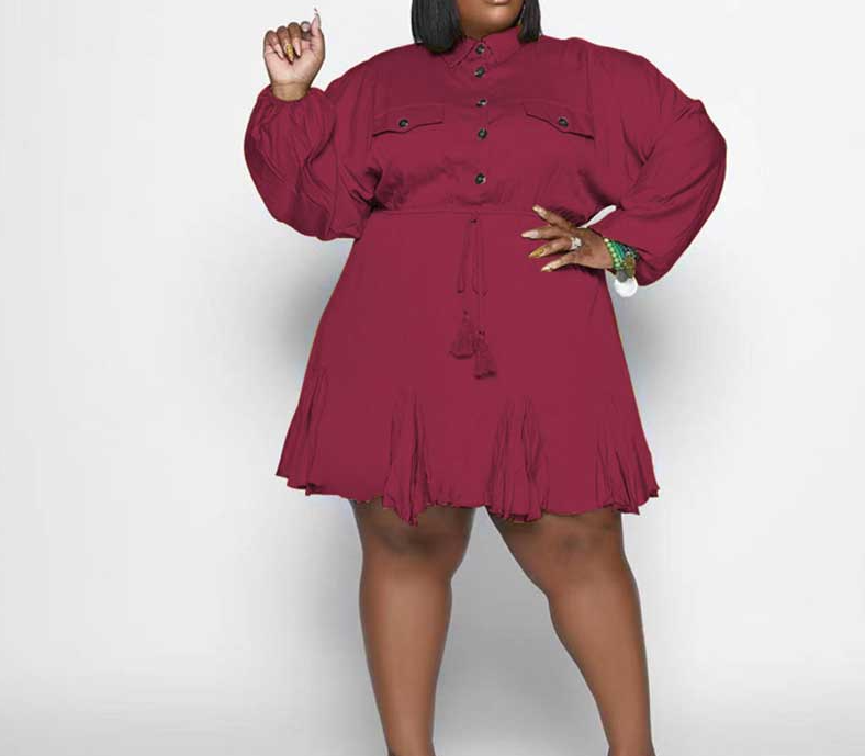 Plus Size Swing Flared Mini Dress