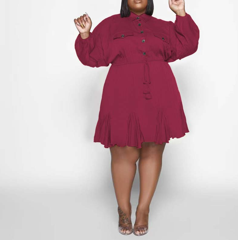 Plus Size Swing Flared Mini Dress